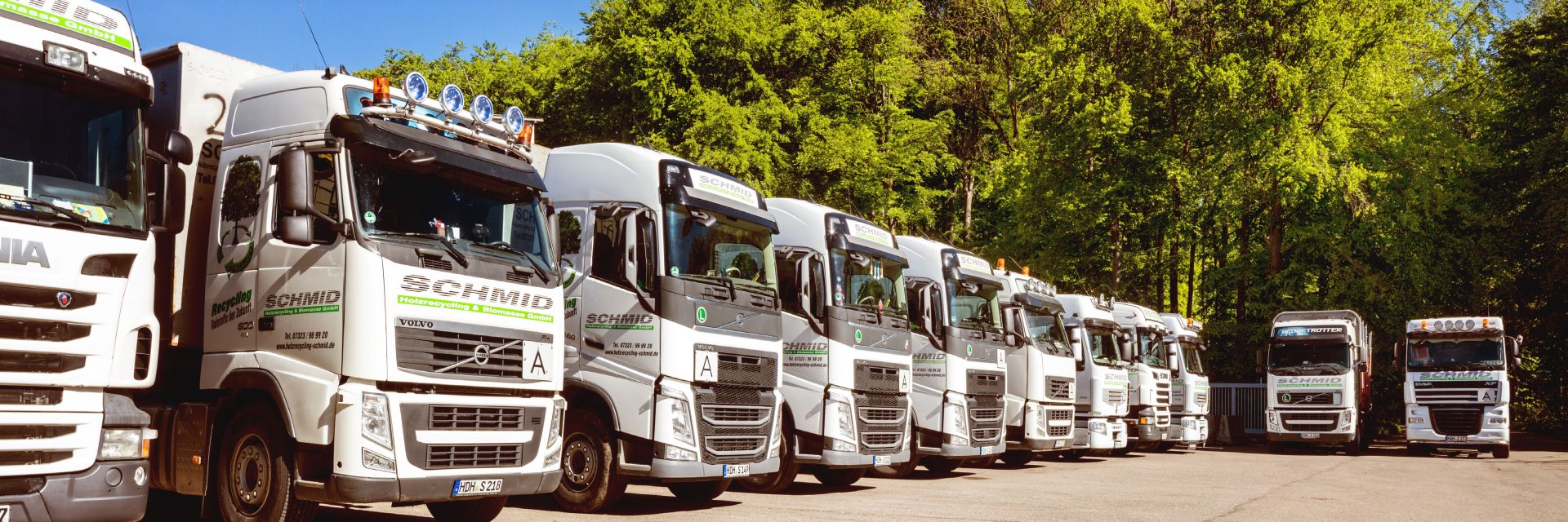 Lkw-Flotte der Firma Schmid in einer Reihe am Waldrand