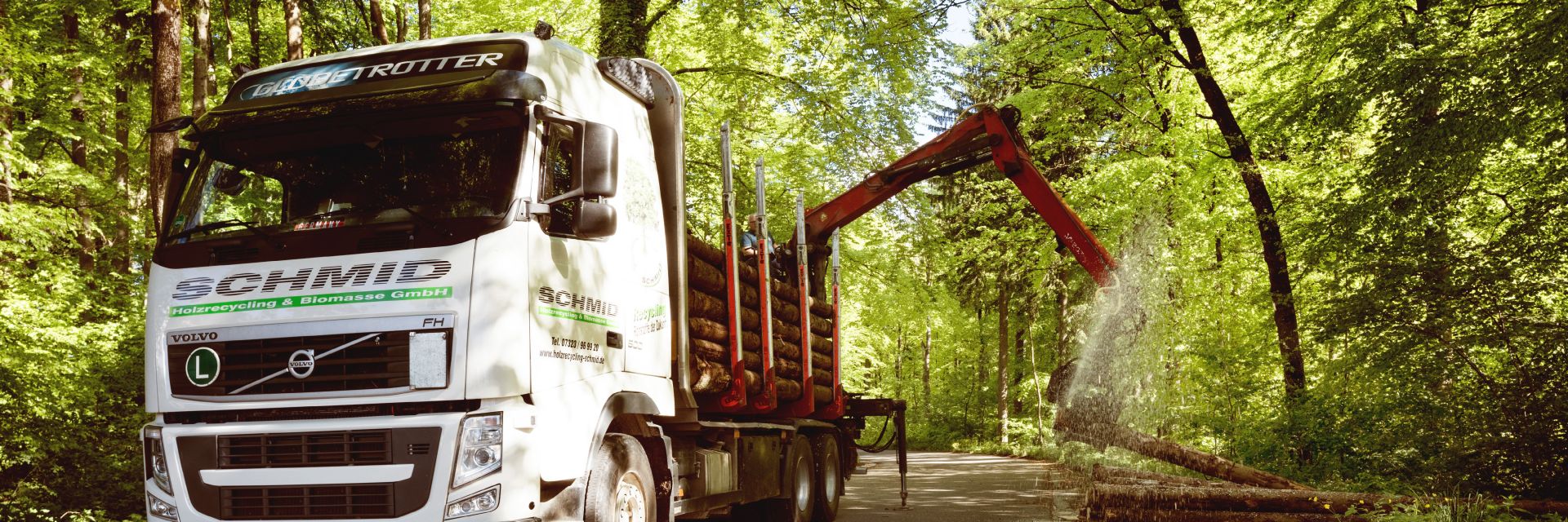 Holztransporter mit Ladekran im Wald